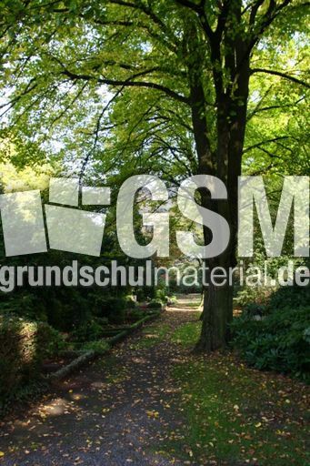 Herbst-Friedhof 004.jpg